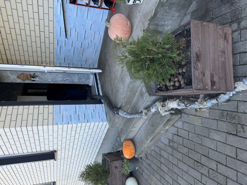 просадка фундамента